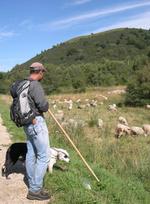 2017-06-18_Affiche_Journee-decouverte-pastoralisme-CdP-000 (Agrandir l'image).