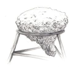 montagne-serre_Stromatolithe (Agrandir l'image).