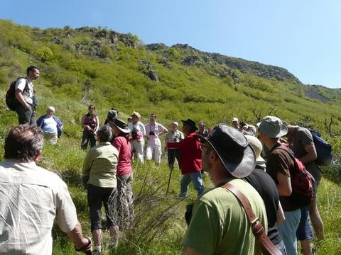 Découverte Jaquette (Agrandir l'image).