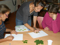 Formation enseignants N2000 Cantal (Agrandir l'image).