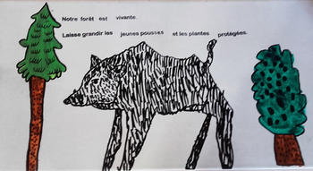 Travaux des élèves de l'école de Paulhac dans le cadre du projet "La biodiversité à la porte de l’école et sur les crêtes du Cantal" 2015-2016 3 (Agrandir l'image).