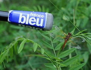 H2O_Magazine de la Nature France Bleu Pays d'Auvergne (Agrandir l'image).