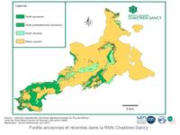 Carte forets anciennes et récentes réserve chastreix (Agrandir l'image).