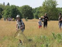 Chasse aux papillons (Agrandir l'image).