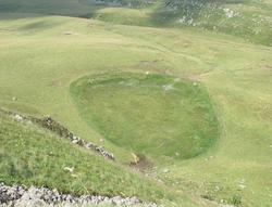 Tourbière du Paillaret (Agrandir l'image).