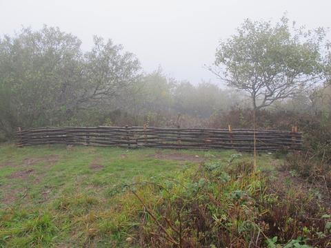 TravauxJumesCoquille_plessis_oct2015_SMPNRVA (Agrandir l'image).