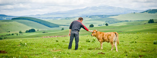 Concours Prairies fleuries 2012 (Agrandir l'image).