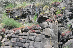 coulee-basalte-pres-murol (Agrandir l'image).