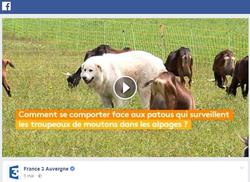  (Nouvelle fenêtre)