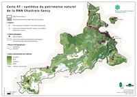 Synthèse patrimoniale dans la RNNCS (Agrandir l'image).