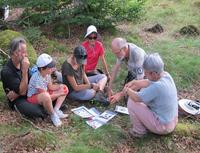 Travail d'identification par petits groupes (Agrandir l'image).