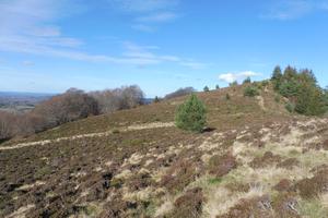 Travaux sur l’estive du Puy des Gouttes (1) : APRES (Agrandir l'image).