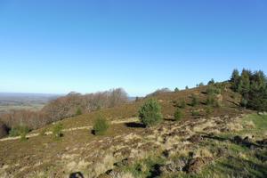 Travaux sur l’estive du Puy des Gouttes (1) : AVANT (Agrandir l'image).