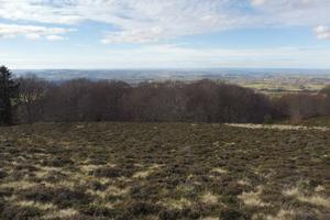 Travaux sur l’estive du Puy des Gouttes (2) : APRES (Agrandir l'image).