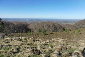 Travaux sur l’estive du Puy des Gouttes (2) : AVANT (Agrandir l'image).